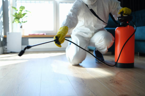 Reliable Odor Removal contractor in Henderson, NE by Trauma Clean Pros